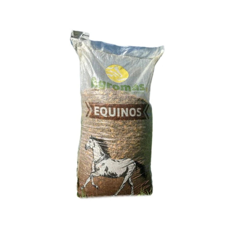 Equino 12 40kg