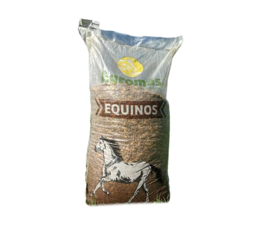 Equino 12 40kg
