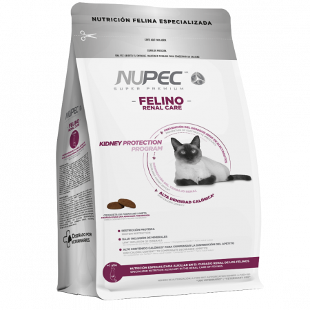 FELINO RENAL