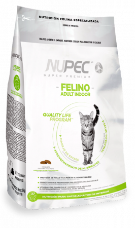 FELINO ADULTO INDOOR