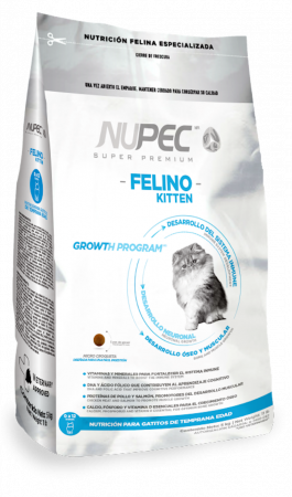 FELINO KITEN
